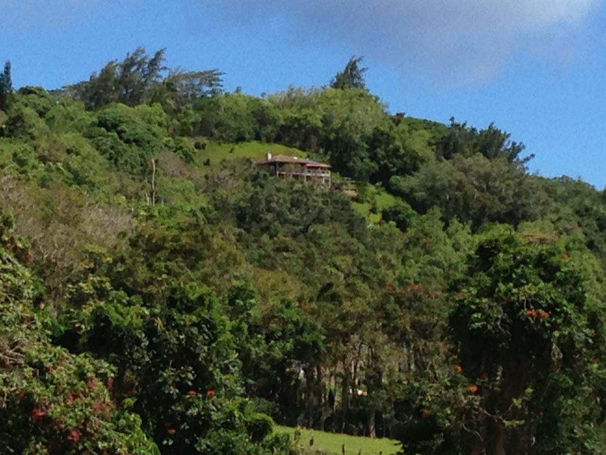 Lawai Marjorie'S Kauai Inn מראה חיצוני תמונה